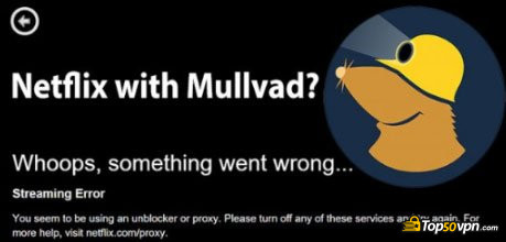 Review Mullvad